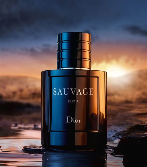 parfum sauvage dior elixir|cheapest Dior Sauvage Elixir.